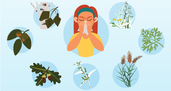 What is pollen and pollen allergy